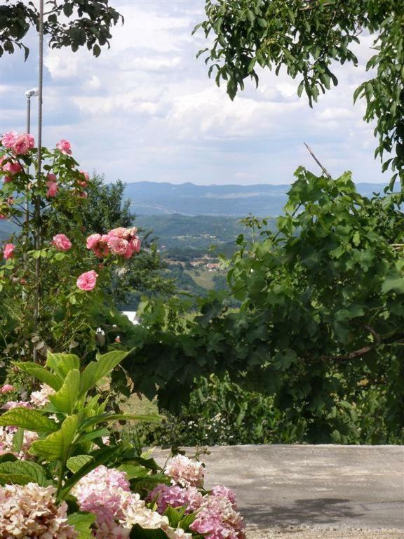 Apartman Vojskovic Gračišće Exteriör bild